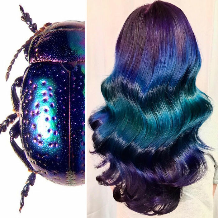 Iridescent beetle next to glossy blue and green wavy hair design by Kansas-based hairstylist Ursula Goff.