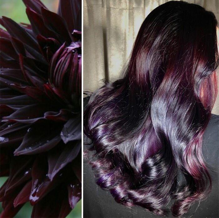 Dark purple hair design with soft curls inspired by nature, styled by Kansas-based hairstylist Ursula Goff.