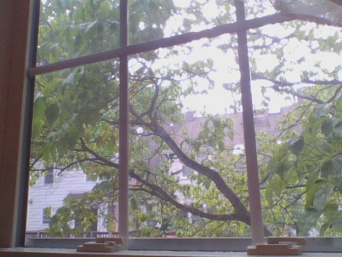 In Maryland It Is Kinda Gray And Foggy