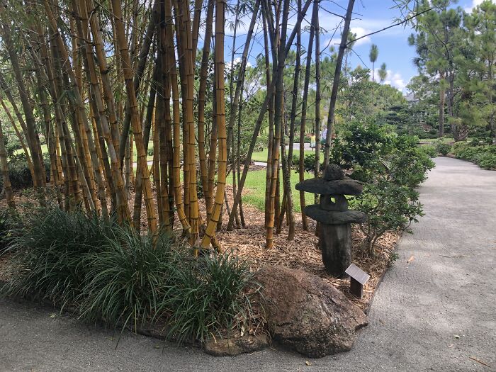 Watching My Brother At A Japanese Garden