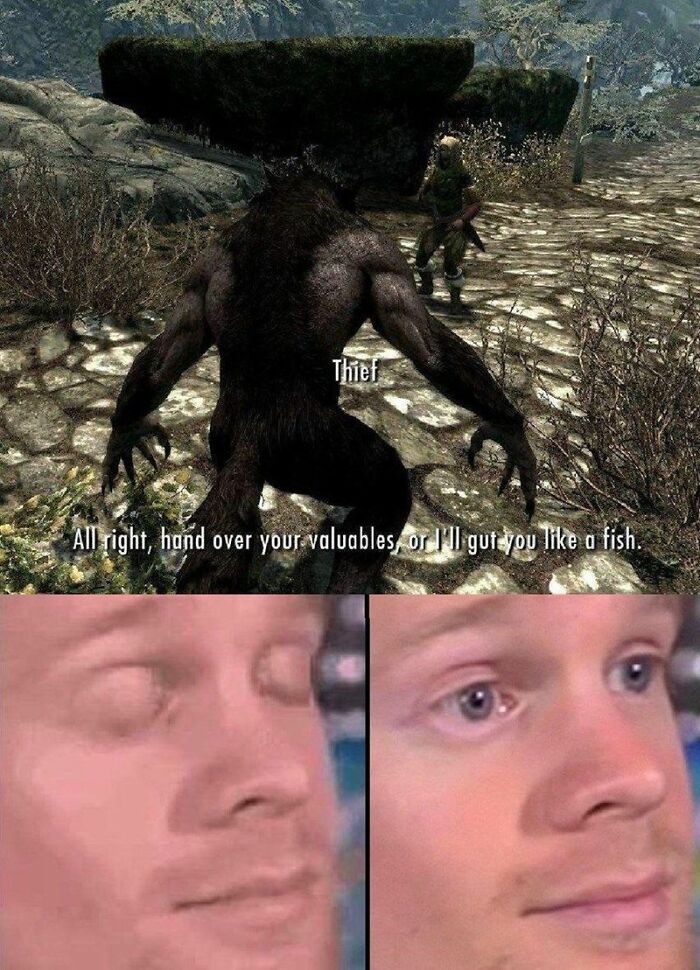 Skyrim Meme
