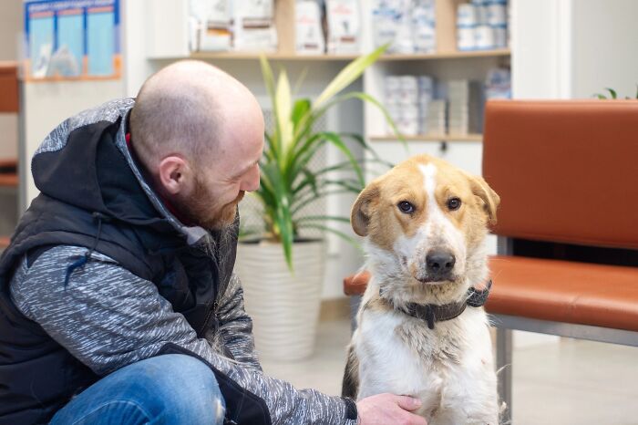 Marusya Was Hit By A Train, But She Survived And Is Currently In Search For A New Home