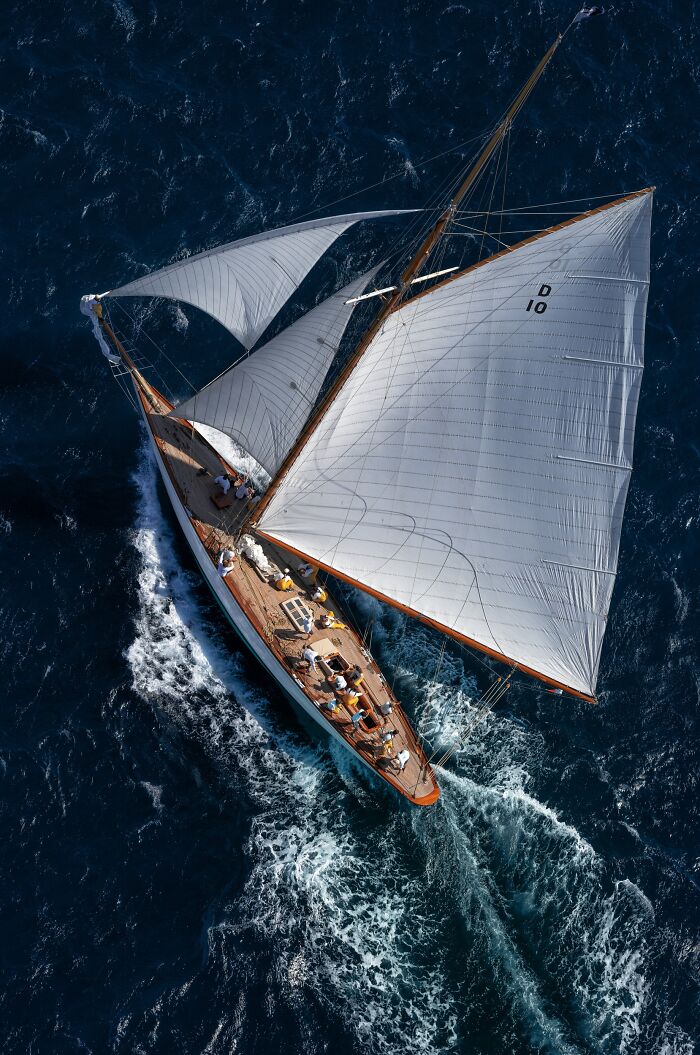 "Les Voiles De St Tropez" By Daria Troitskaia