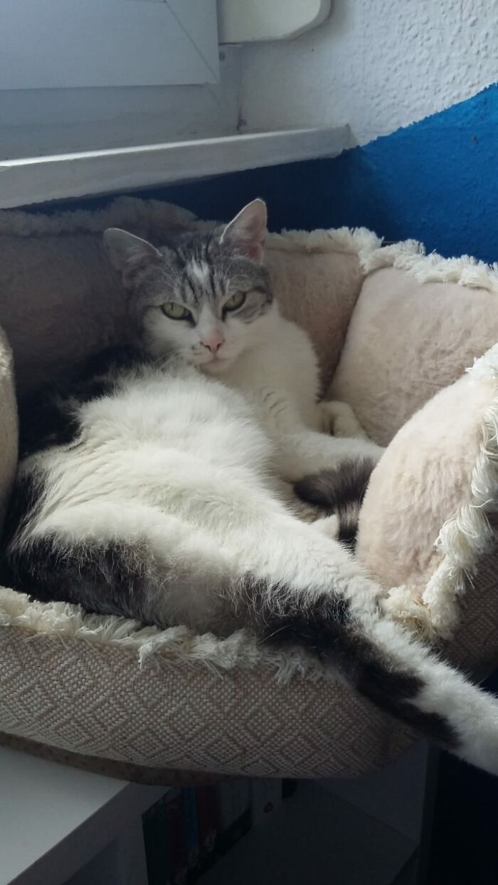 #queenofthecastle - Our Beloved Goddess Lafayette