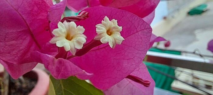 Not Good But Still...