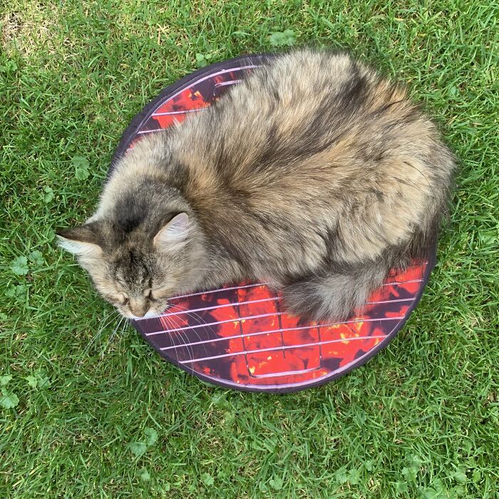 Loaf On BBQ