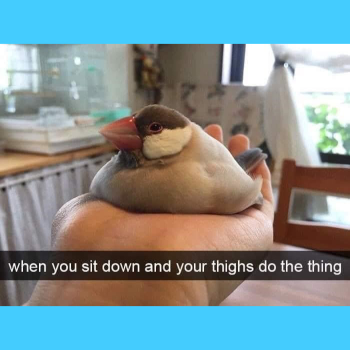 32 Memes I Found In The Dumpster And Your Mom's Basement