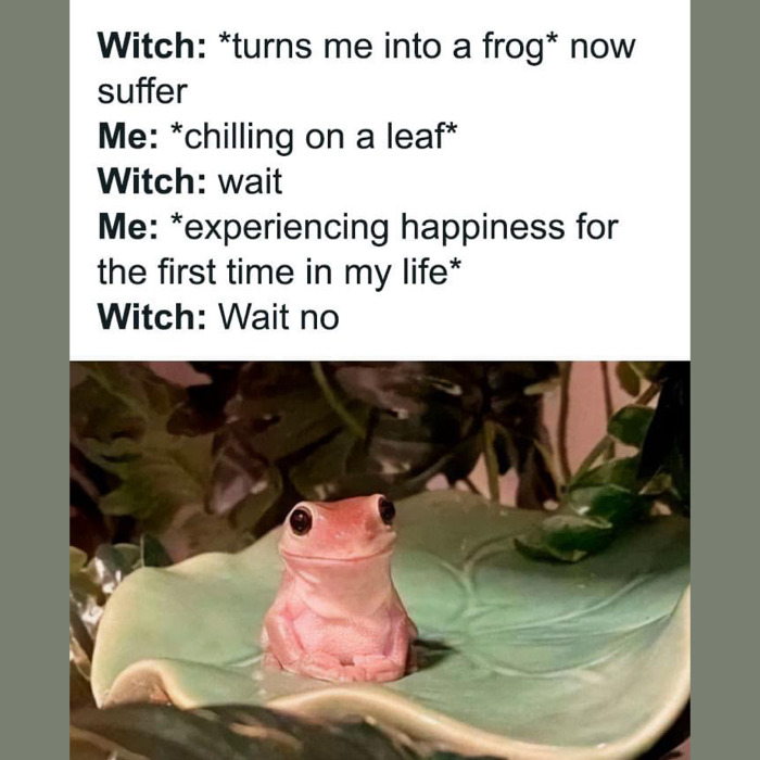 32 Memes I Found In The Dumpster And Your Mom's Basement