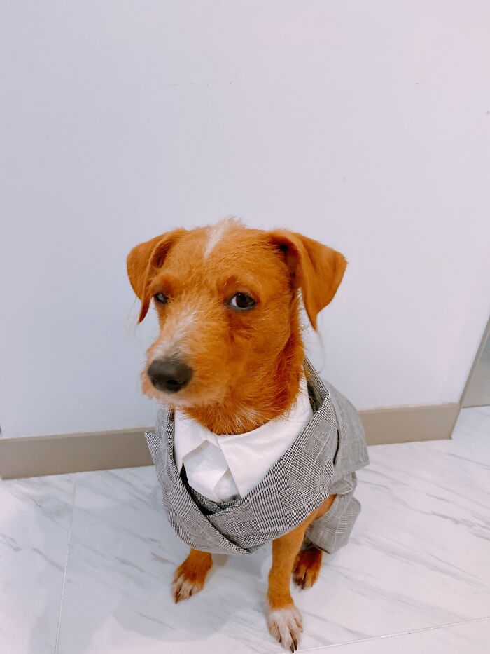 #67 Are You Sure There's No More Treats In Your Pocket?