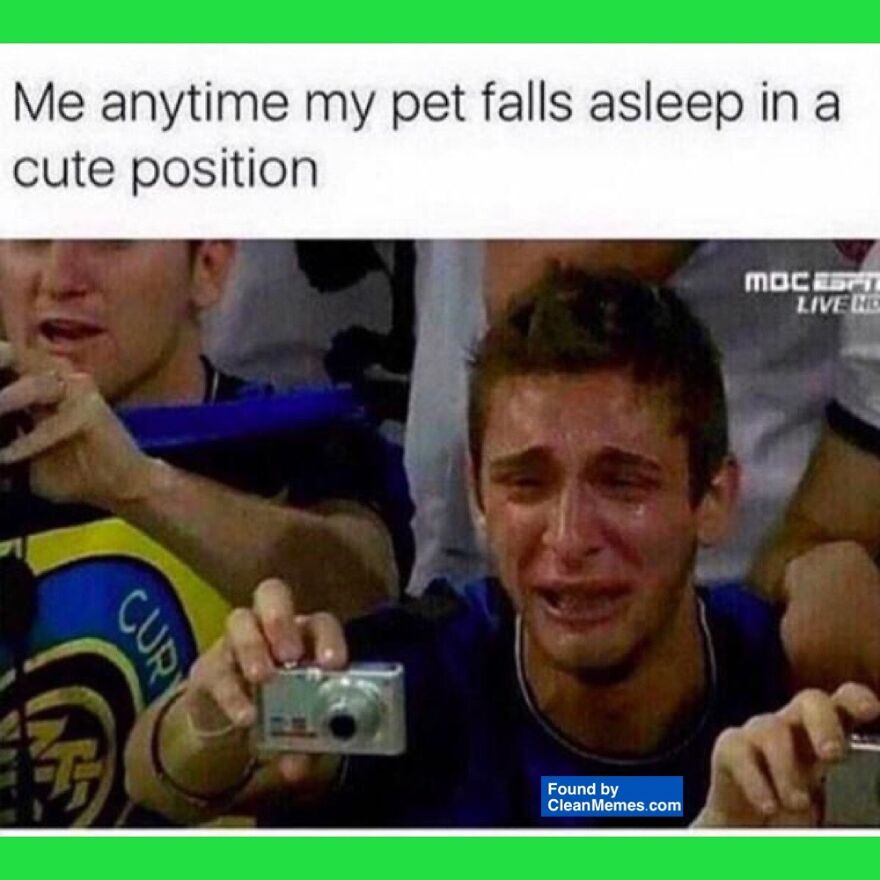 40 Memes I Got From Ohio On My Trip To Canada