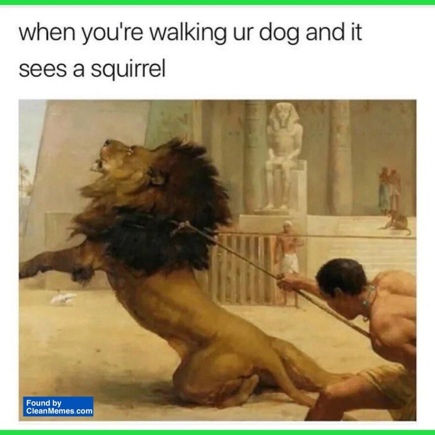 40 Memes I Got From Ohio On My Trip To Canada