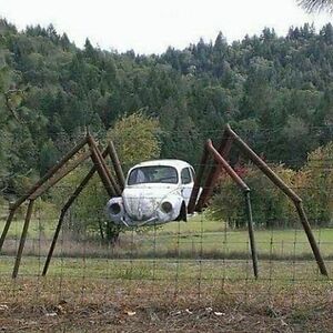 eviedmontgomery avatar