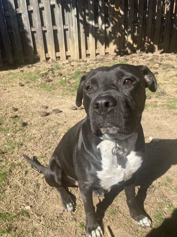 This Is Blu. Harley’s Son