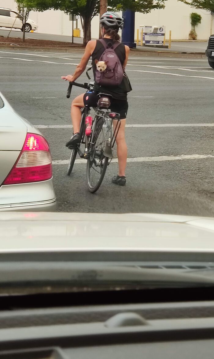 Are You Lookin At Me!