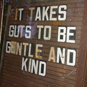 raychulsnooter avatar