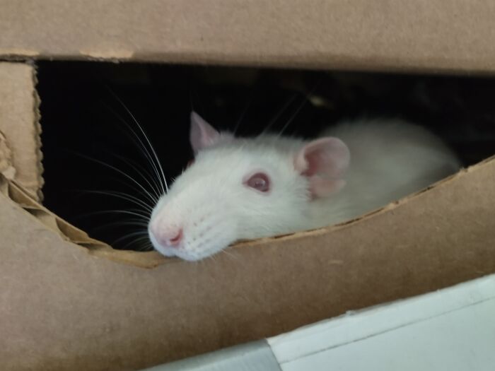 Felt Cute. Might Delete Later