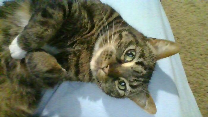 Anna, My Goofy Little Furball. Sorry 'Bout The Quality