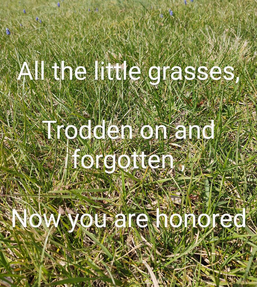 I Wrote Poems To Go With Pictures I Took Of Local Scenery