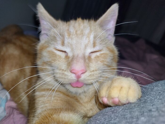 My Oh So Photogenic Baby James, Who Obviously Doesn't Have Custody Of The One Brain Cell