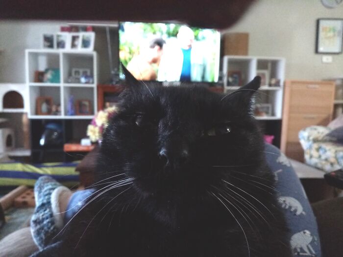 Jonah Loves The Camera