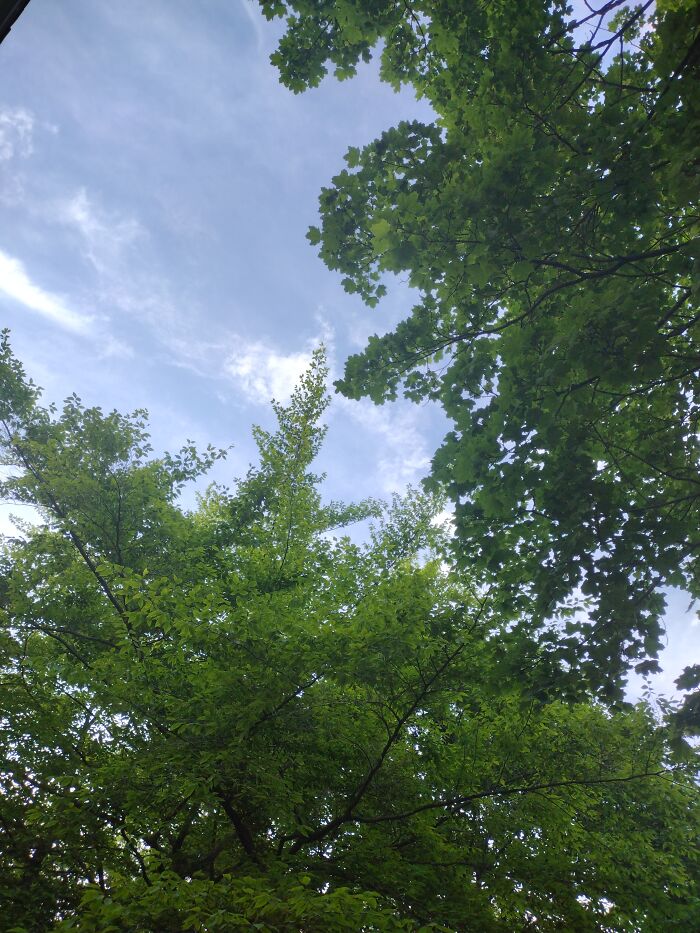 Looks Like A Stock Photo.... But It's Not!