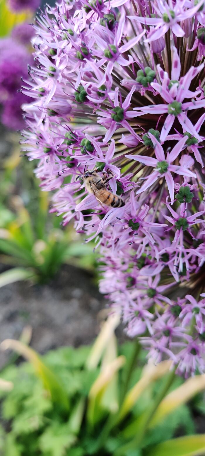 Photographing Everything That Comes Across