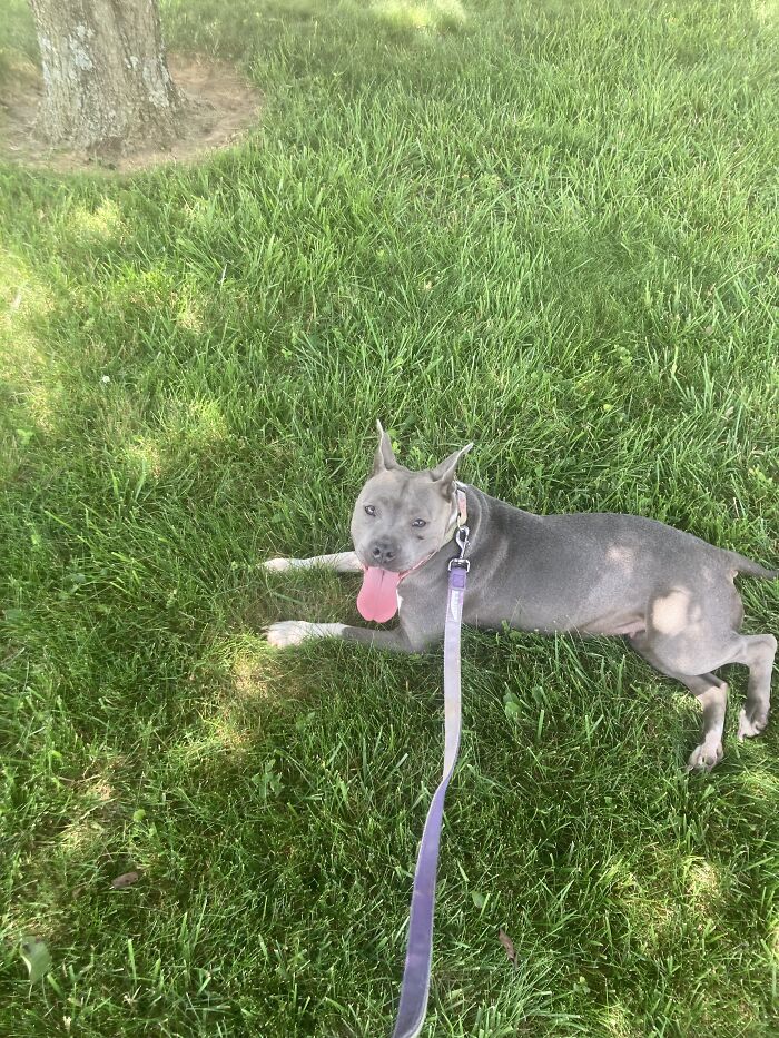 This Is Karma. Harley’s Daughter