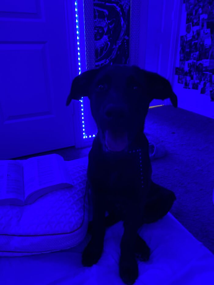 This Is Blue :)