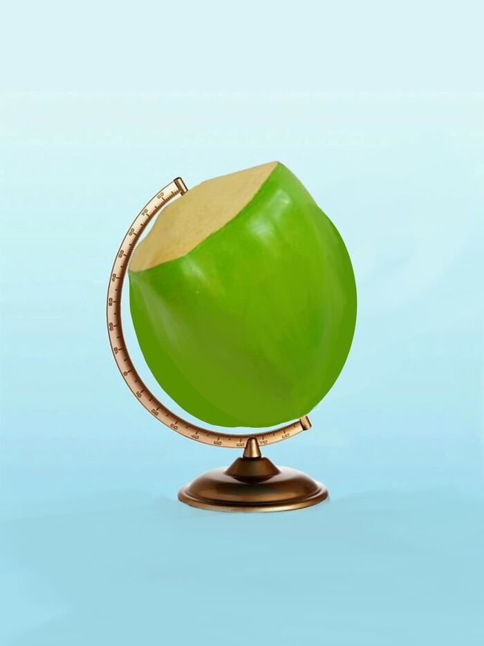 Surreal Sculpting Of ‘Coconut’