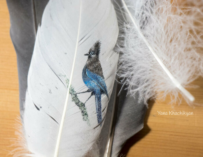 Tiny Pandas Swimming In Chocolate Rivers - It's Not Weird At All!