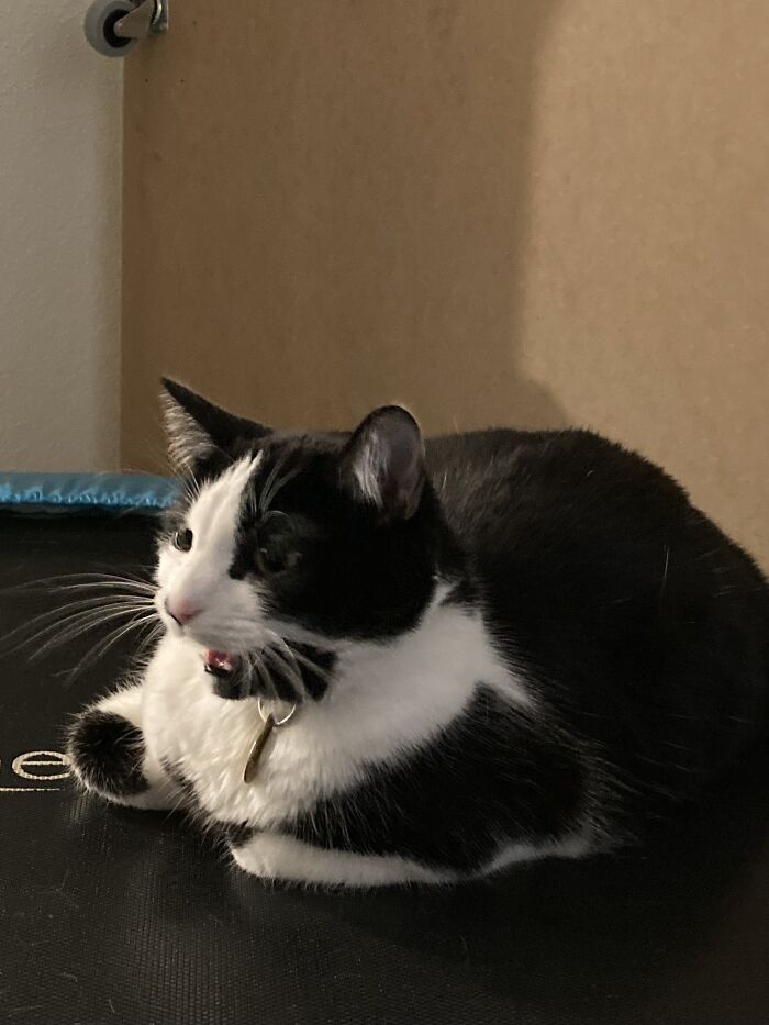 Yes, She Is Sitting On A Trampoline