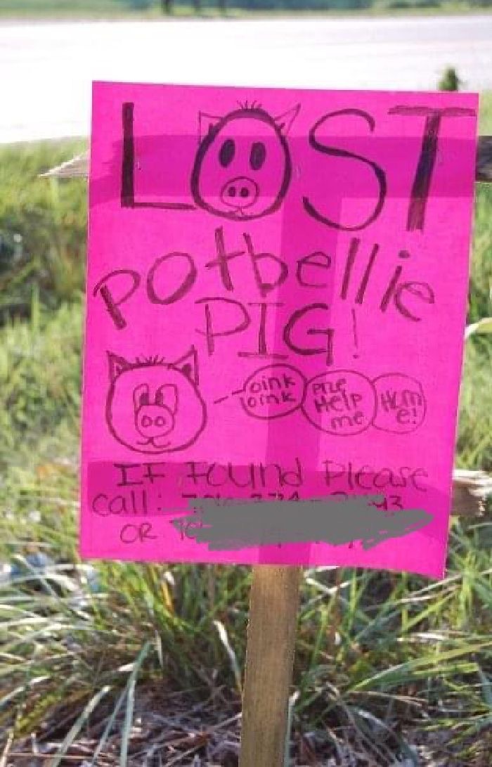 I Hope He Found His Way Home