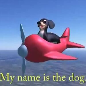 The potato bee (any pronouns)