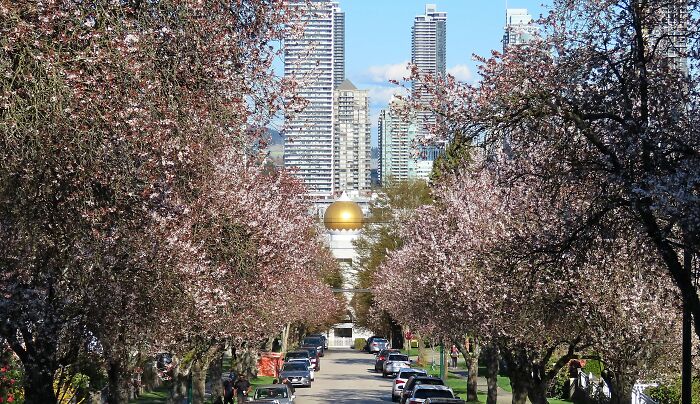 Vancouver, The Picture Was Taken By My Best Friend