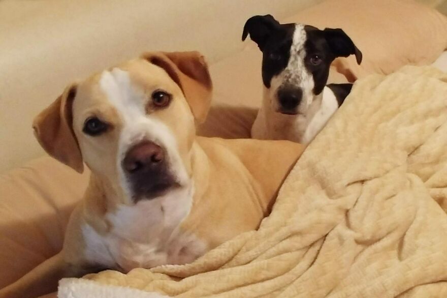 Sorry, Mom This Is Our Bed Now