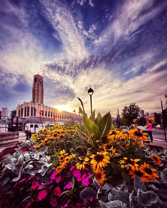 #4 Montreal In The Summer (Atwater Market)