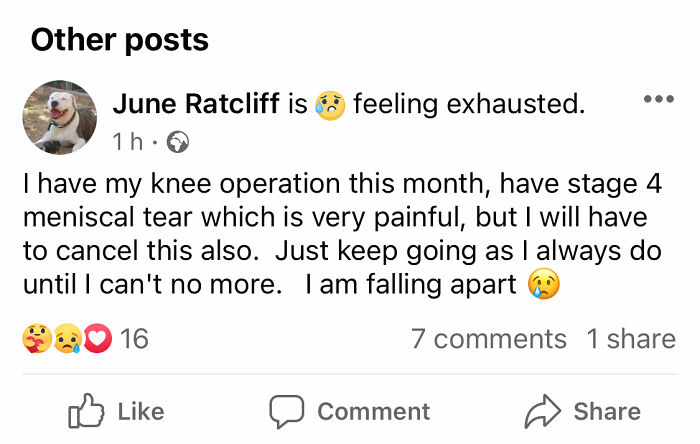 A Woman Who Selflessly Rescued Countless Animals In Cyprus Is In Urgent Need Of Help Herself A Woman Who Selflessly Rescued Countless Animals In Cyprus Is In Urgent Need Of Help Herself