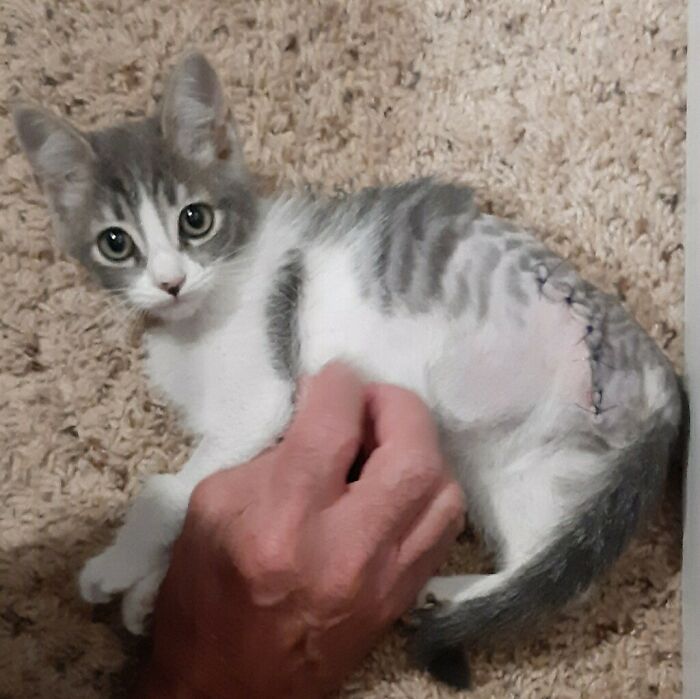 Meet Jodie The Conqueror--- My Extra-Confident Tripod That Doesnt Know She's Disabled