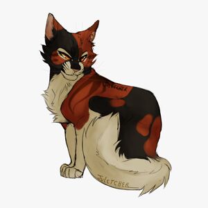 sinanancamille avatar