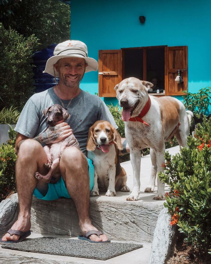 Man Finds His True Happiness Saving Stray Dogs In Thailand (20 Pics) Man Finds His True Happiness Saving Stray Dogs In Thailand (20 Pics)