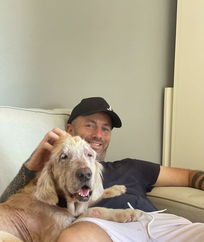 Man Finds His True Happiness Saving Stray Dogs In Thailand (20 Pics) Man Finds His True Happiness Saving Stray Dogs In Thailand (20 Pics)