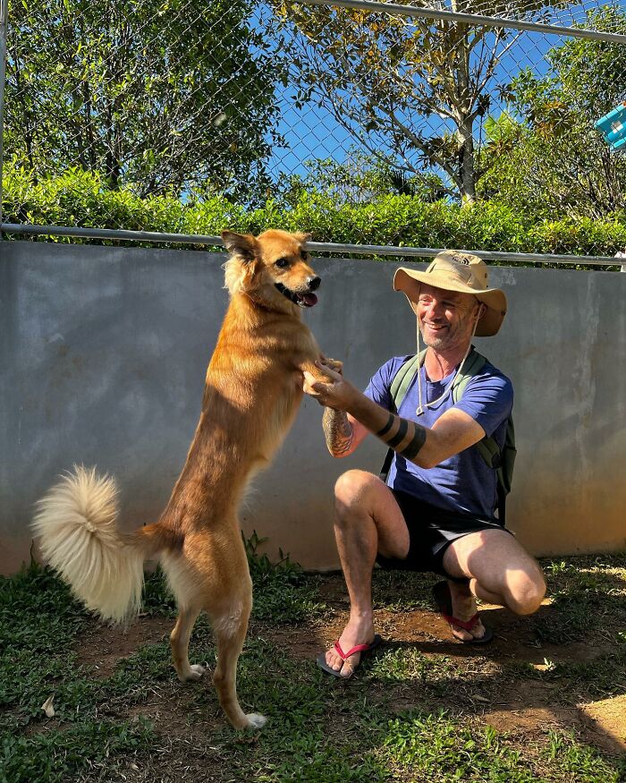 Man Finds His True Happiness Saving Stray Dogs In Thailand (20 Pics) Man Finds His True Happiness Saving Stray Dogs In Thailand (20 Pics)