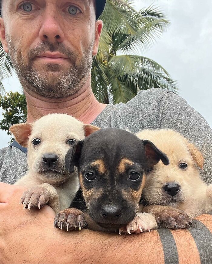Man Finds His True Happiness Saving Stray Dogs In Thailand (20 Pics) Man Finds His True Happiness Saving Stray Dogs In Thailand (20 Pics)