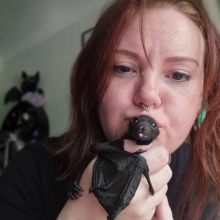This Wildlife Vet Nurse Rescues And Rehabilitates Orphaned Baby Bats
