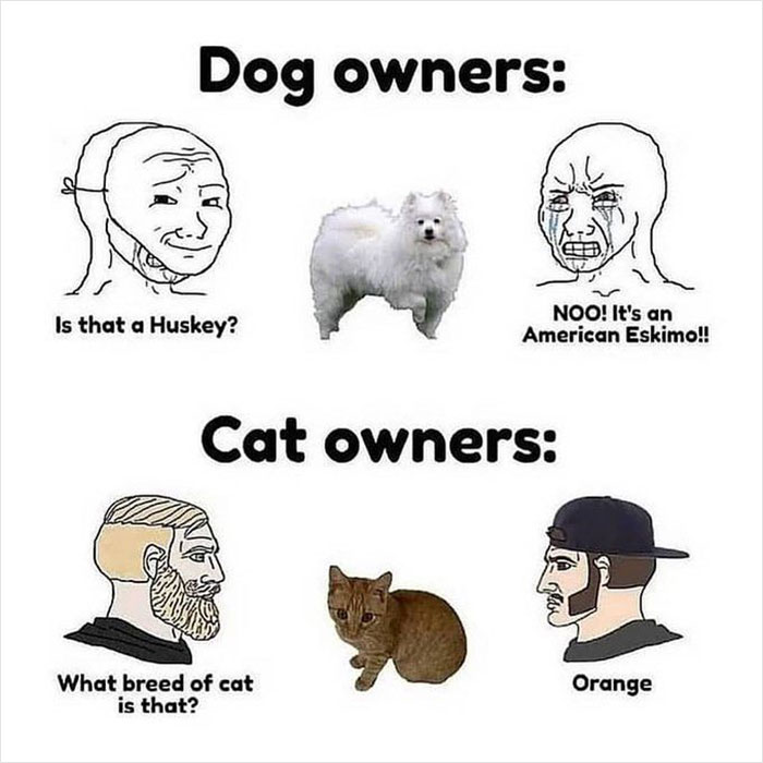 Hilarious meme of dog and cat owners incorrectly identifying pet breeds, shared by Meme Lord on Instagram.