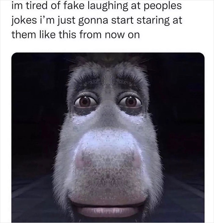 Close-up of a donkey's serious face with meme text about fake laughter; shared by "Meme Lord" account.