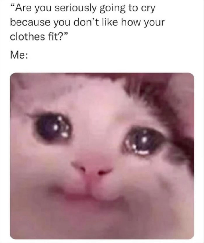 Crying cat meme shared by Meme Lord Instagram account, highlighting humorous take on clothing issues.