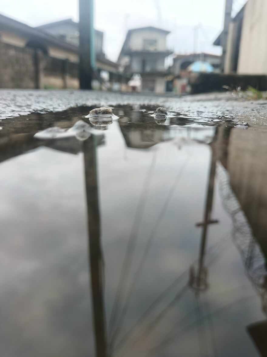 Just My First Time Taking Pictures