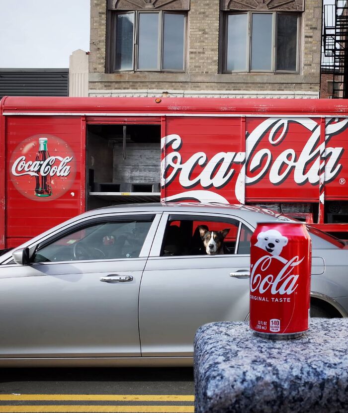 Photographer Captures Unbelievable Coincidences In The Streets