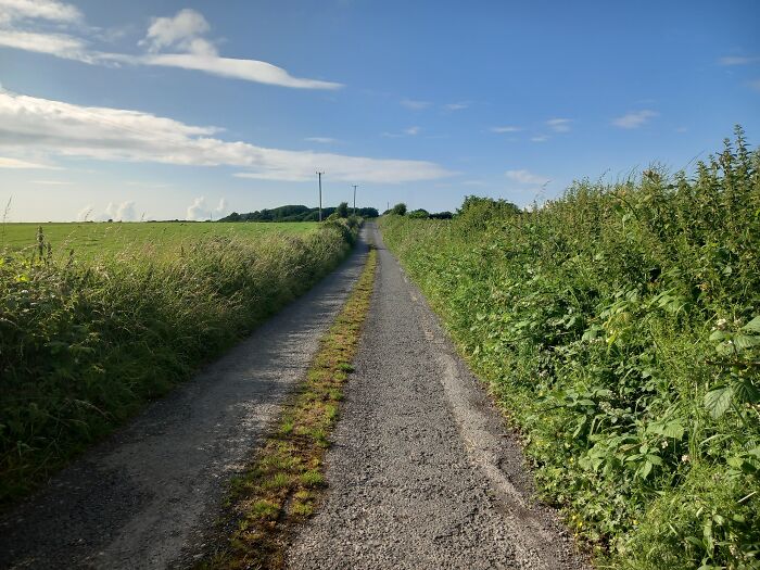 Picture Of A Local.road Near Me In Rural Ireland, Taken On A Sammsung Galaxy A13